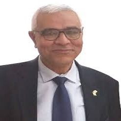 Abdelmonem Awad Hegazy 