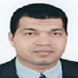 Ahmed M.S. Hegazy