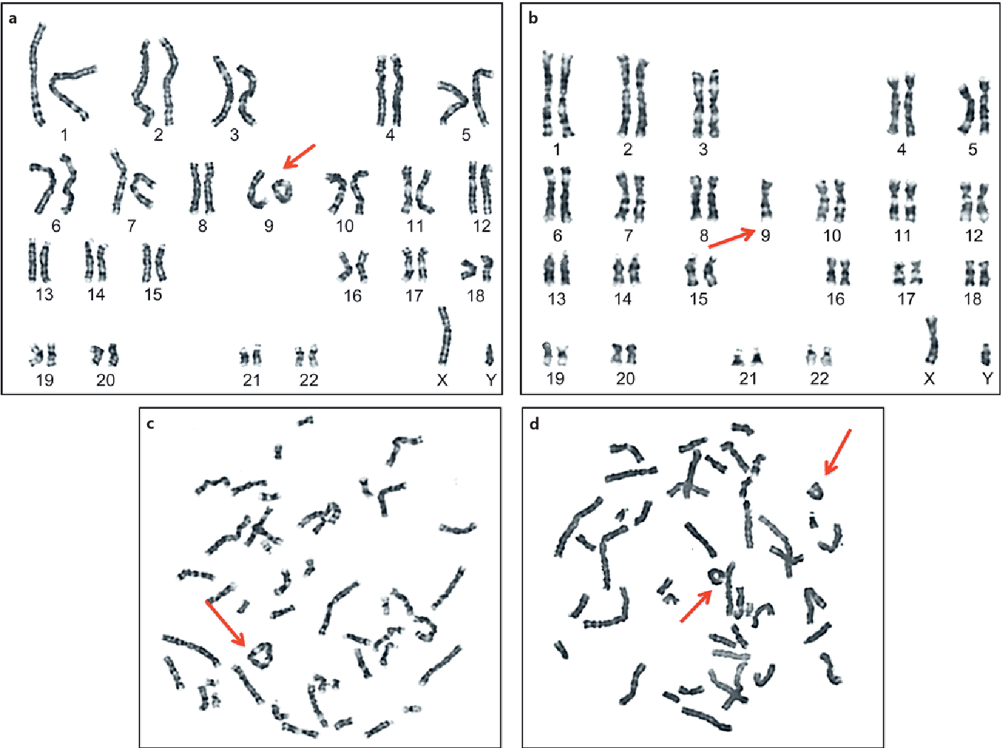PLNT 3140 Introductory Cytogenetics - Changes in Chromosome Structure I
